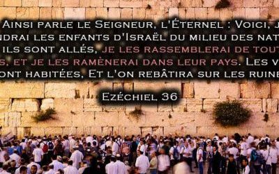 Le conflit israélo-palestinien disséqué – Partie 1 : Influence et Héritage Biblique d’Israël